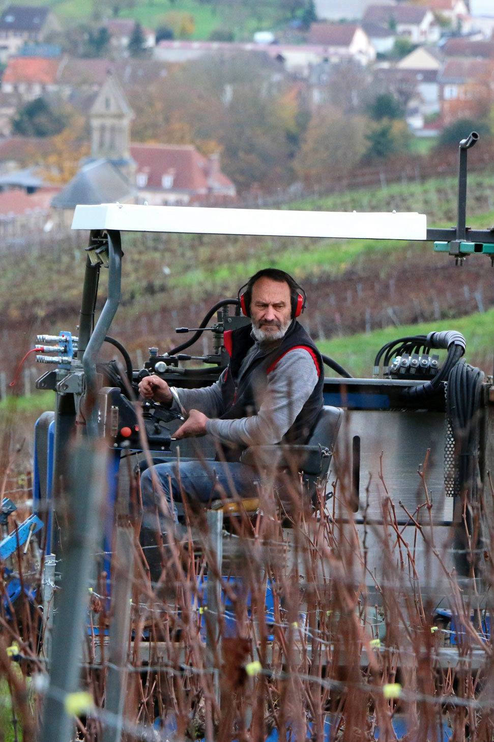 Benoit Michel cultive ses vignes en préservant la biodiversité et l'environnement.